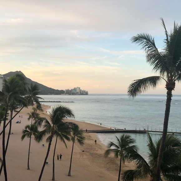 Meet your Posher, Mary - Picture 1 of 1